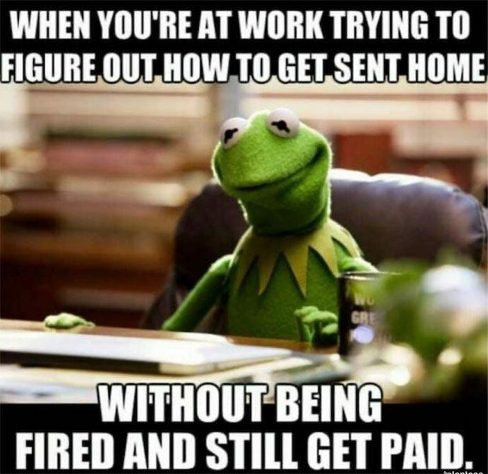 30+ Work From Home Memes: Funny Work Memes to Make You Laugh