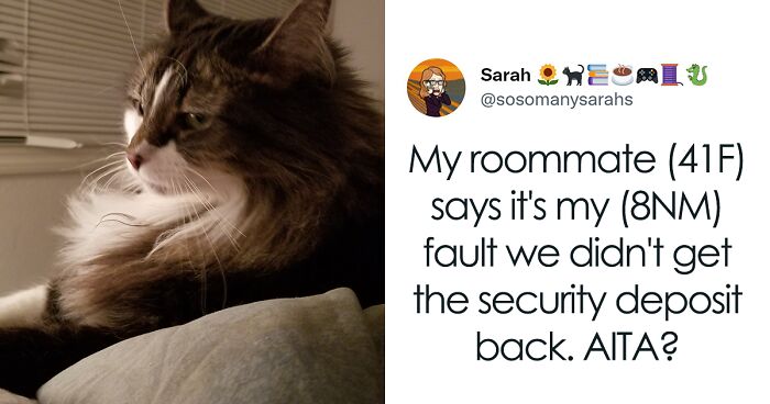 35 AITA Posts That Are Funny Because They Are Written From A Cat’s Perspective, Shared In This Twitter Thread