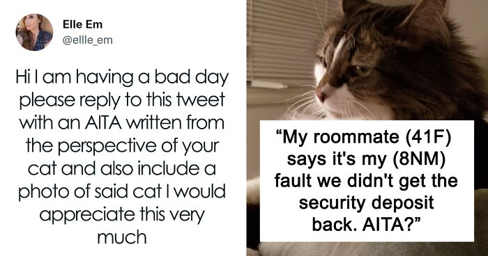 35 AITA Posts That Are Funny Because They Are Written From A Cat’s Perspective, Shared In This Twitter Thread