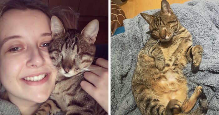 This Cat From Greece Went Viral And Shows That Love Is Blind