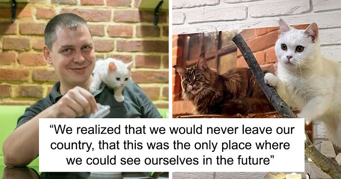 “We Would Never Leave Our Country”: Ukrainian Cat Café Stays Open Amid War