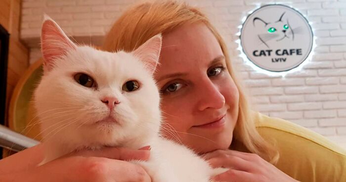 “We Would Never Leave Our Country”: Ukrainian Cat Café Stays Open Amid War