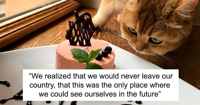 “We Would Never Leave Our Country”: Ukrainian Cat Café Stays Open Amid War