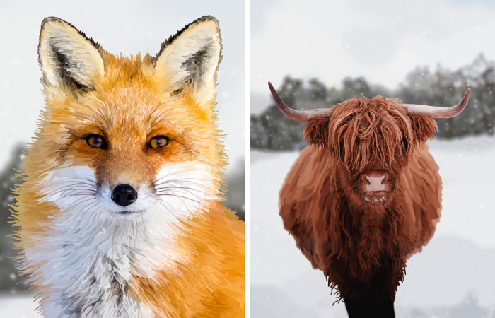 Animals, Wildlife And Nature Illustrations (9 Pics)