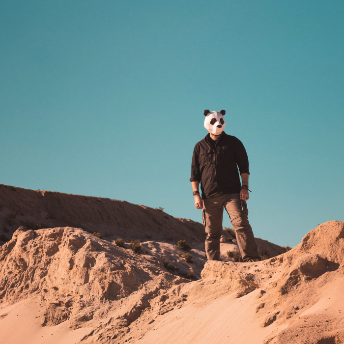 I Did A Photoshoot Inspired By Pandas And I Titled It “Pandapocalypse” (11 Pics)