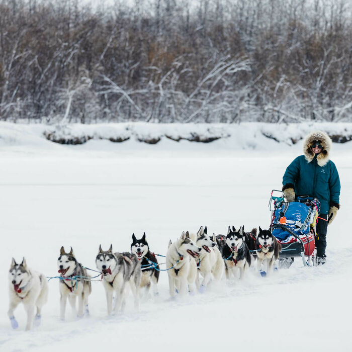 Cute Pictures Of This Year’s Iditarod (15 Pics)