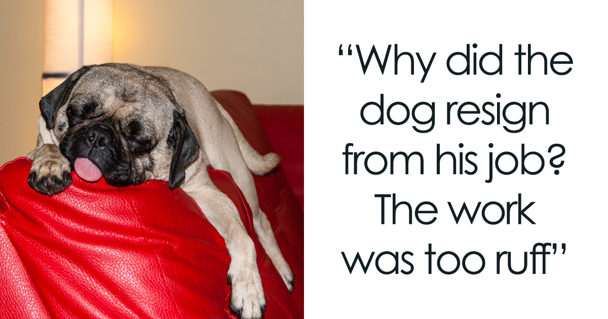 Do Dalmatians Make Good Service Dogs? (Answered) – PetSpre