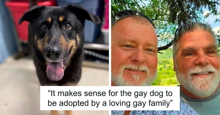 ‘Gay’ Pup Rejected For Humping Another Male Dog Gets Adopted By Gay Couple