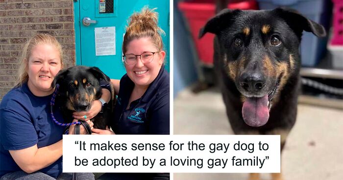 Homophobic Owner Abandons ‘Gay’ Puppy Who Later Gets Taken In By Gay Couple