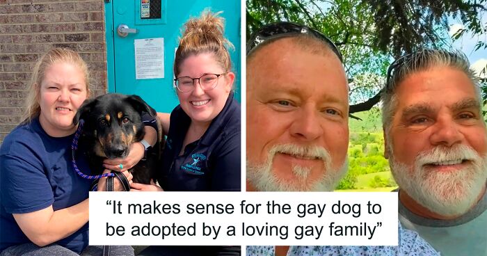 Abandoned ‘Gay’ Dog Finds New Family When Adopted By Gay Couple