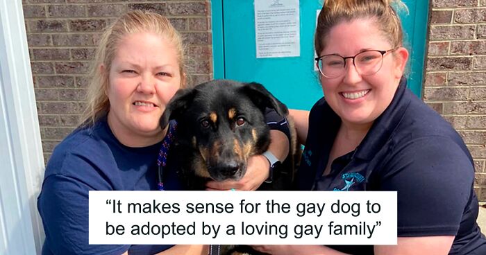 Homophobic Owner Abandons ‘Gay’ Puppy Who Later Gets Taken In By Gay Couple