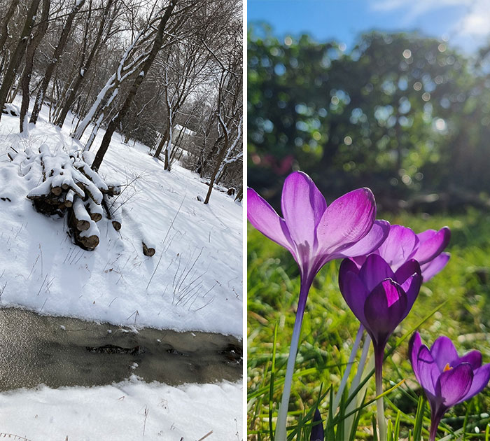 Hey Pandas, Since March Is Here, Share Your Early Spring Pictures (Closed)