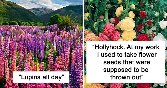 Person Wonders Why Nobody Asks Men What Their Favorite Flowers Are, So This Twitter User Did And Got 35 Colorful Answers