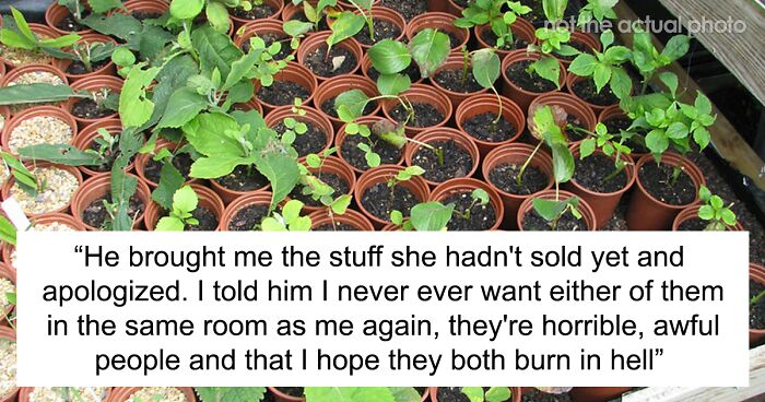 Woman Cuts Ties With Relatives After She Came Back Home To Trimmed Houseplants That SIL Had The Audacity To Sell On Marketplace