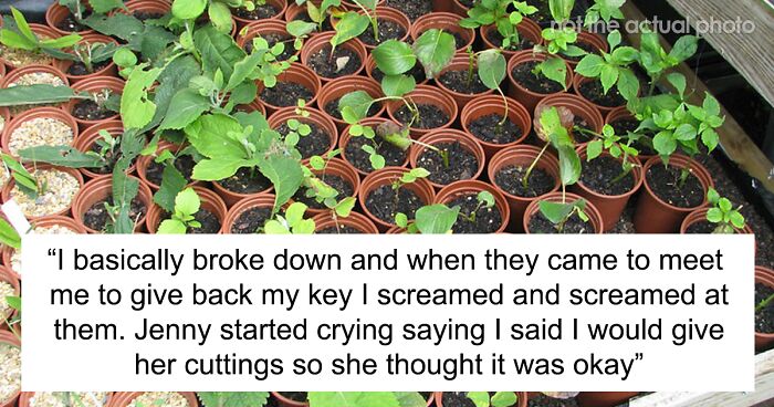 The Internet Supports This Plant Lover Who Doesn’t Want To See Her Niece And SIL In Her House After They Destroyed Her Rare Plants