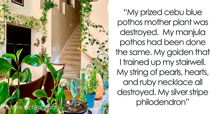 The Internet Is On This Plant Lover’s Side For Banning Her Niece From Her House After ‘Clippings’ Destroyed Her Rare Plants