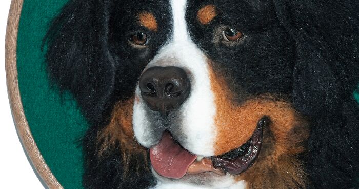 Since The War In Ukraine Started, I Send The Money I Get From My Felted Animal Portraits To Our Defenders (16 New Pics)