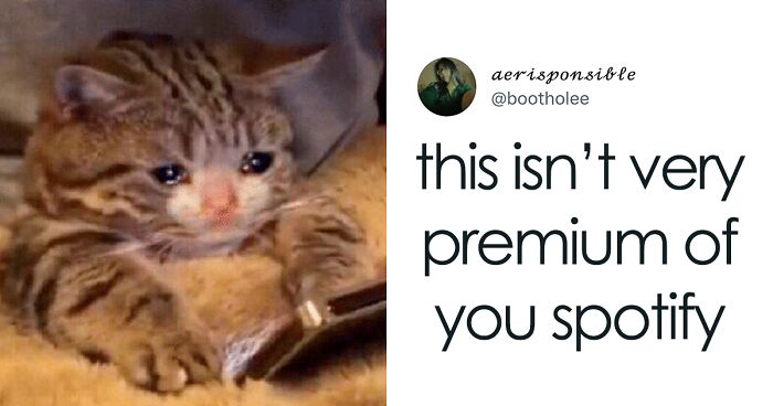 Spotify Going Down Prompted People To Post These 50 Memes And Reactions