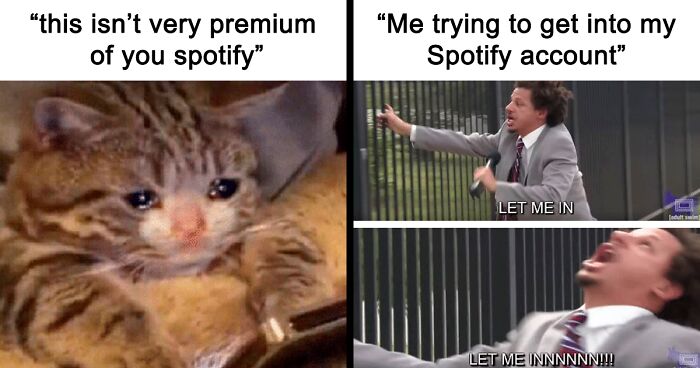 Here Are 50 Memes And Reactions Showing How The Recent Spotify Outage Affected People