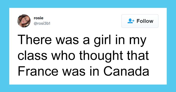 People Share The Stupidest Things They've Witnessed Others Doing In An Illuminating Twitter Thread (51 Posts)