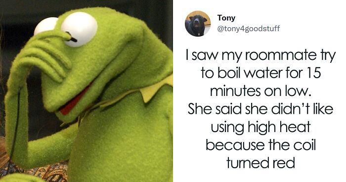 People Share 51 Stupid Things Their Friends Have Done And Said In This Viral Twitter Thread