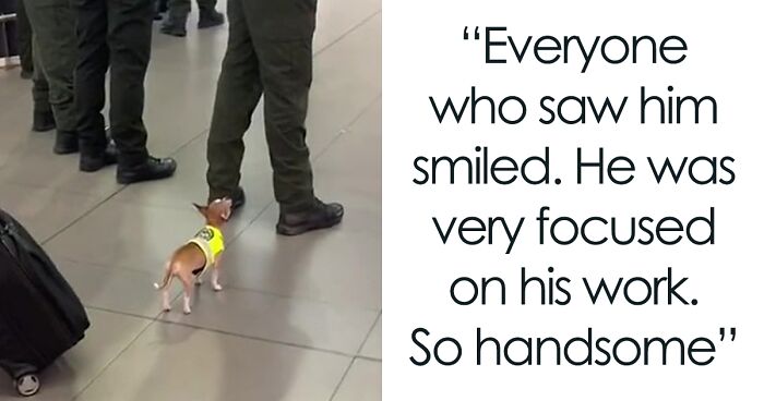 Video Captures The Tiniest Police Pup Doing Rounds Around An Airport, Amasses 9M Views