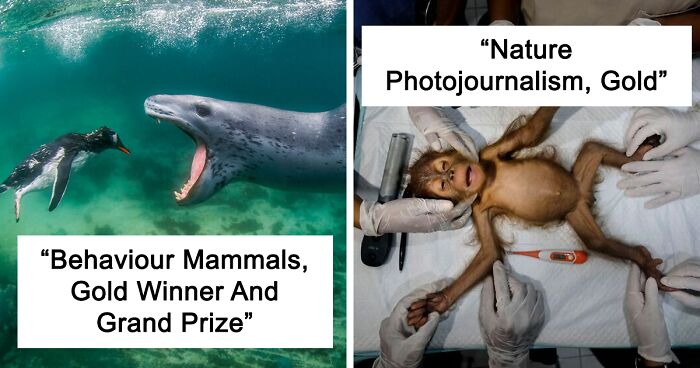 39 Amazing Winners Of The 2021 World Nature Photography Awards