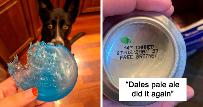 129 Times People Had To Look Twice Because They Found A Real-Life Easter Egg (New Pics)