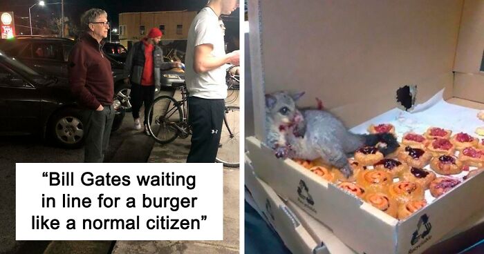 90 Times Humans And Animals Stumbled Into Peculiar Situations And Thought 'This Is My Life Now'