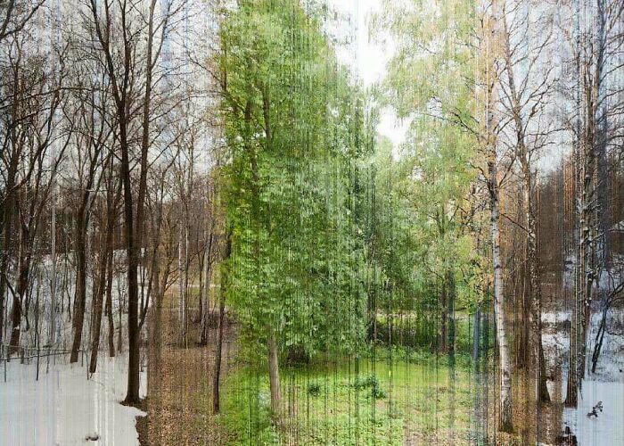 A Picture In 365 Slices. Each Slice Is One Day Of The Year