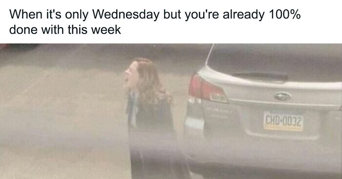 116 Hilarious Memes About The Struggles Of 