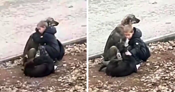 Kids’ Love Knows No Bounds, As Shown In This Video Where A Boy Stops To Hug Two Stray Dogs On His Way To School