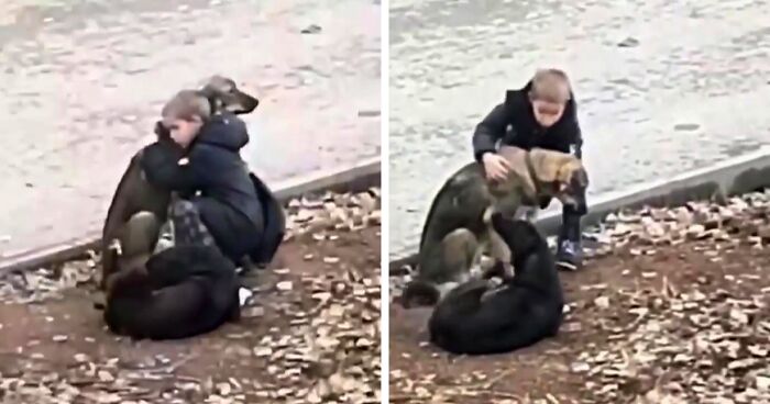 Video Shows Young Boy Stopping To Hug Two Stray Dogs When He Thinks No One Is Watching