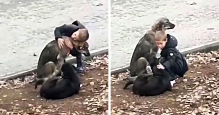 Video Shows Young Boy Stopping To Hug Two Stray Dogs When He Thinks No One Is Watching