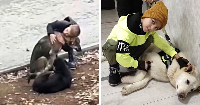 Video Shows Young Boy Stopping To Hug Two Stray Dogs When He Thinks No One Is Watching