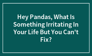Hey Pandas, What Is Something Irritating In Your Life But You Can't Fix?