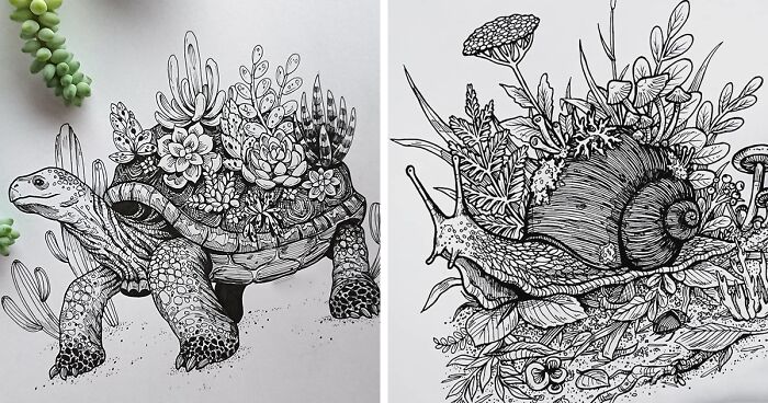 I Wanted To Show The Diversity Of Species By Creating These Detailed Animal Drawings (32 Pics)