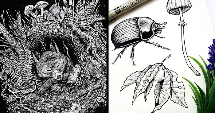 32 Intricate Drawings Of Animals Created By Me