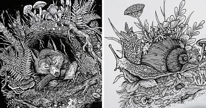 I Create Intricate Drawings Of Animals Accompanied By Plants, Fungi, Ferns And Mosses (32 Pics)