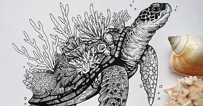 32 Detailed Animal Drawings I Made To Express The Importance Of Preserving The Natural Habitat And The Diversity Of Species