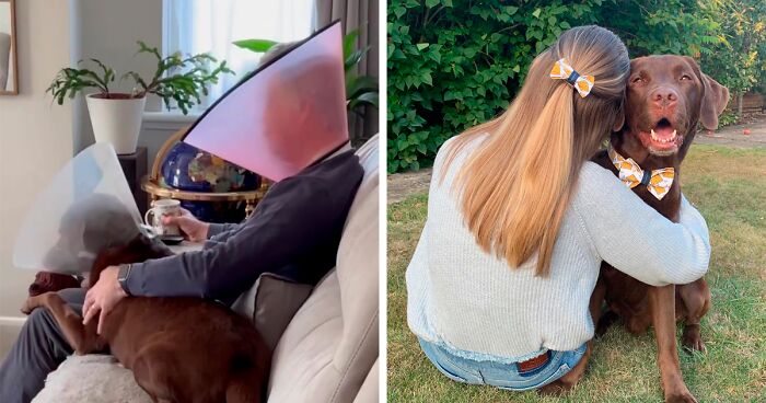 “It’s Always The Dads Who Didn’t Want A Dog That End Up Loving Them The Most”: Dad Wears An E Collar To Lift His Pup’s Spirits After Surgery