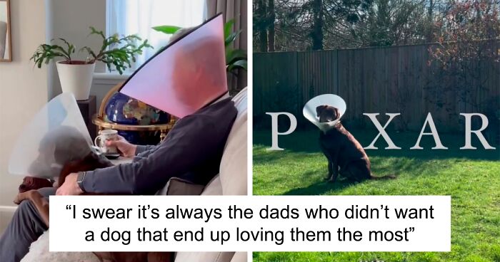 “It’s Always The Dads Who Didn’t Want A Dog That End Up Loving Them The Most”: Dad Wears An E Collar To Lift His Pup’s Spirits After Surgery