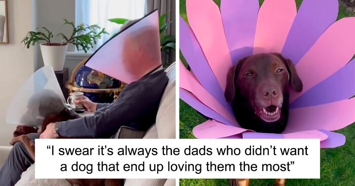 Famous TikTok Puppy Has Surgery, His Dad Wears ‘Cone Of Shame’ To Brighten His Day, Become ‘Lampshade Boys’