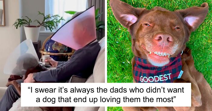 “It’s Always The Dads Who Didn’t Want A Dog That End Up Loving Them The Most”: Dad Wears An E Collar To Lift His Pup’s Spirits After Surgery