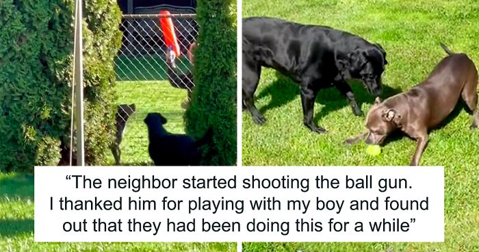 Neighbor Covertly Plays Fetch With Dog But Gets Caught By Owner Amid Wholesome Act