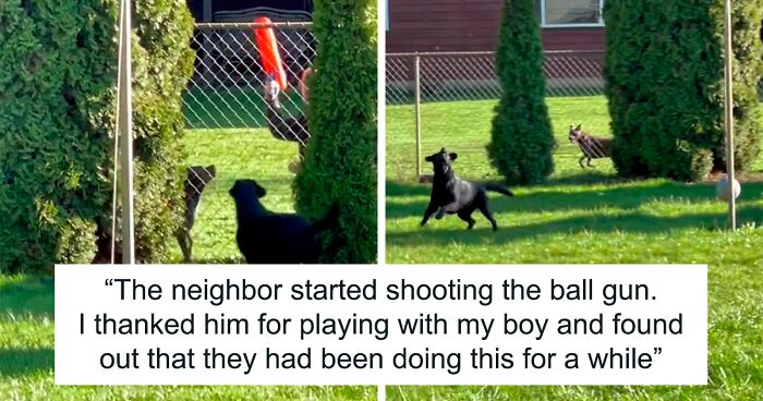 Neighbor Covertly Plays Fetch With Dog But Gets Caught By Owner Amid Wholesome Act