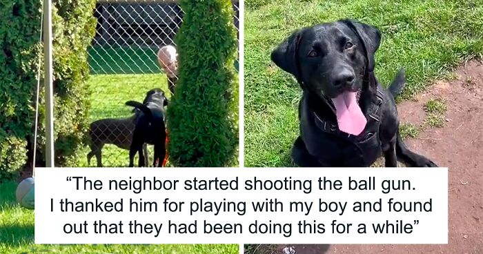 Neighbor Covertly Plays Fetch With Dog But Gets Caught By Owner Amid Wholesome Act