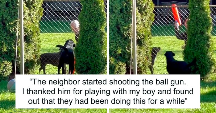 Wholesome TikTok Captures A Man Secretly Playing Fetch With His Neighbor’s Dog Through The Fence, Amassing 6.8M Views