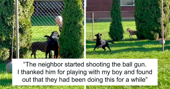 Neighbor Covertly Plays Fetch With Dog But Gets Caught By Owner Amid Wholesome Act