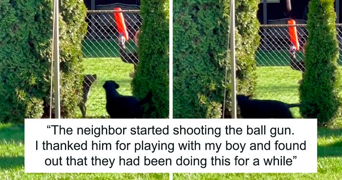 Woman Discovers Neighbor Secretly Playing Fetch With Her Dog Through The Fence